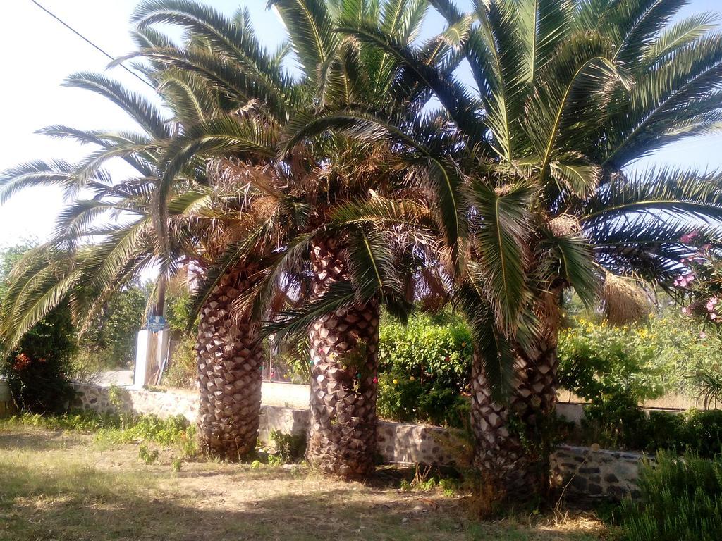 Guesthouse Karidia Skala Eresou Exterior foto